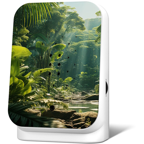 Junglebox spilledåse Maliau (Bilde 1 av 4)