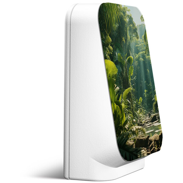 Junglebox spilledåse Maliau (Bilde 2 av 4)