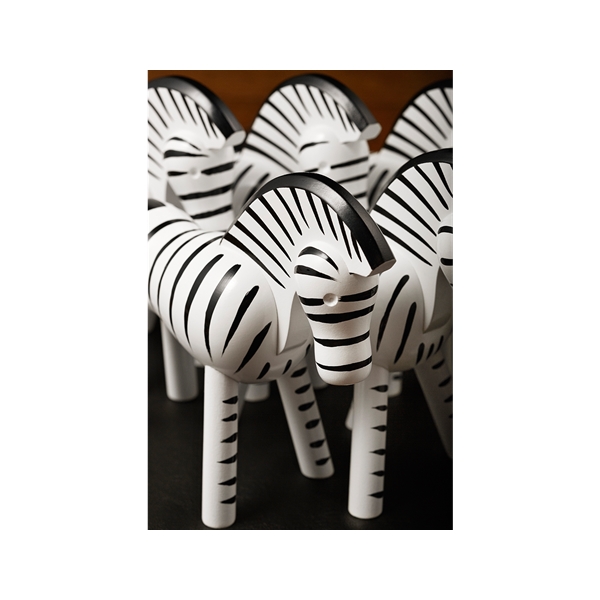Zebra (Bilde 6 av 10)