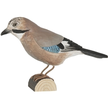 Nøtteskrike