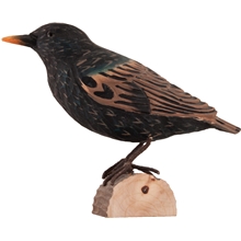 Stær