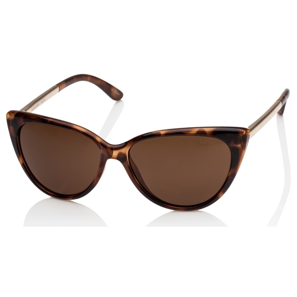 Tweedledee - Tortoise / Gold Brown