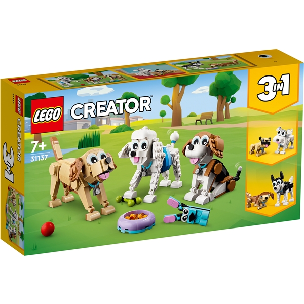 31137 LEGO Creator Herlige Hunder (Bilde 1 av 6)