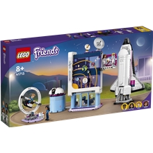 41713 LEGO Friends Olivias Romskole