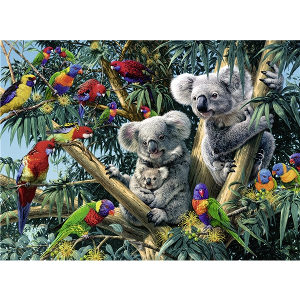 Puslespill 500 Deler Koalas in a Tree (Bilde 2 av 2)