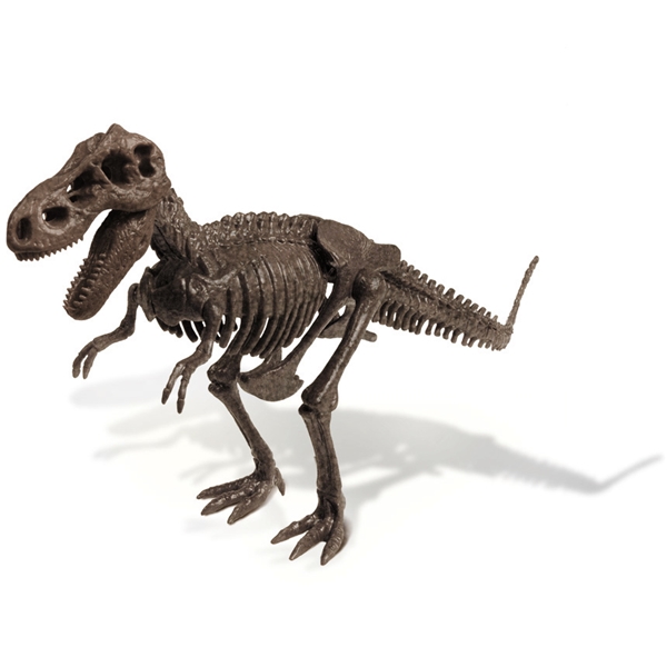 Dino Excavation Kit T. Rex (Bilde 2 av 4)