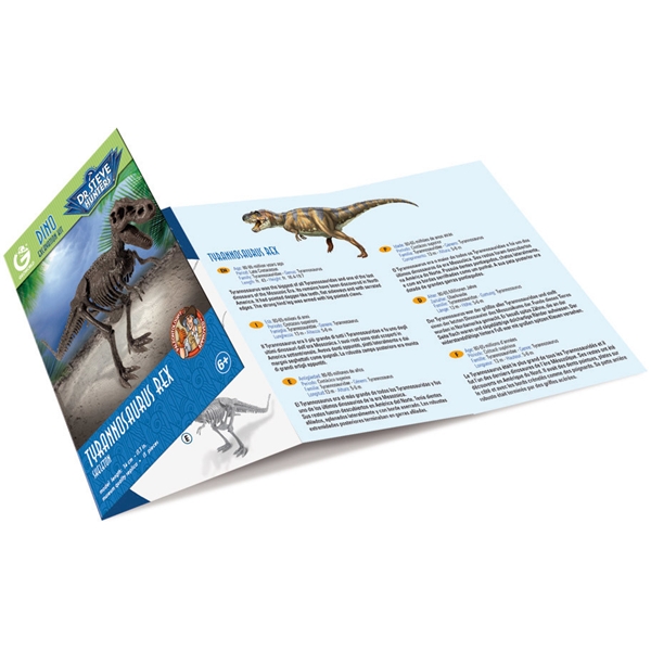 Dino Excavation Kit T. Rex (Bilde 4 av 4)
