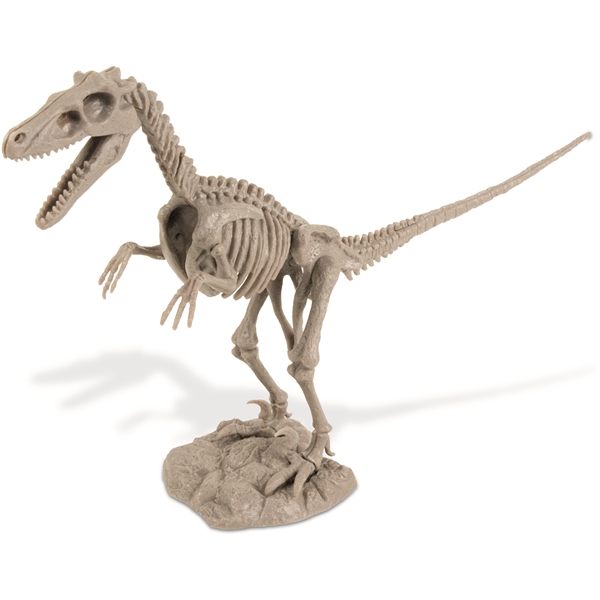 Dino Excavation Kit Velociraptor (Bilde 2 av 5)