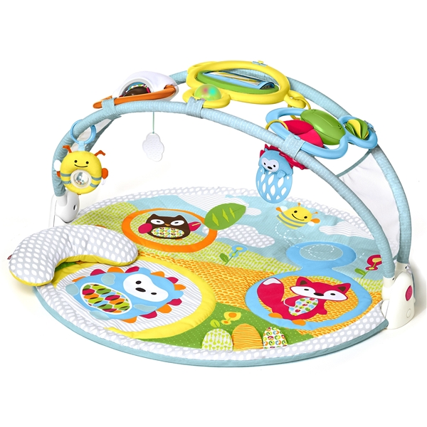 Skip Hop Babygym Explore & More (Bilde 1 av 9)