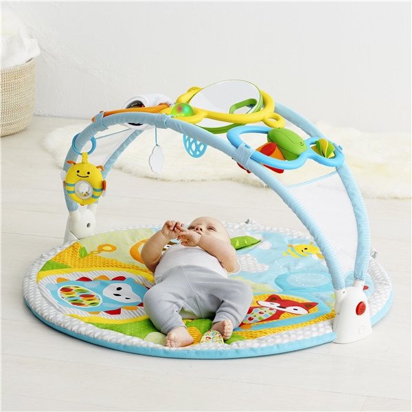 Skip Hop Babygym Explore & More (Bilde 4 av 9)