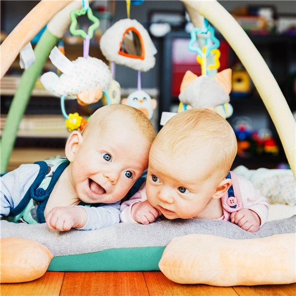 Playgro Snuggle Me Penguin Tummy Time Babygym (Bilde 3 av 5)