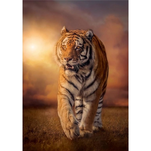 Puslespill 1500 Deler Tiger (Bilde 2 av 2)