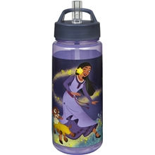 Disney Wish Vannflaske