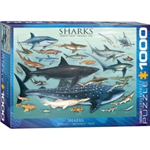 Puslespill 1000 Deler Sharks