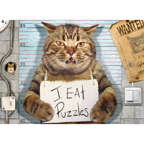 Puslespill 500 Biter Felony Cat (Bilde 2 av 2)