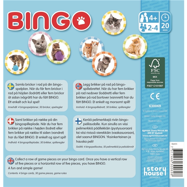 Bingo Katter (Bilde 2 av 2)