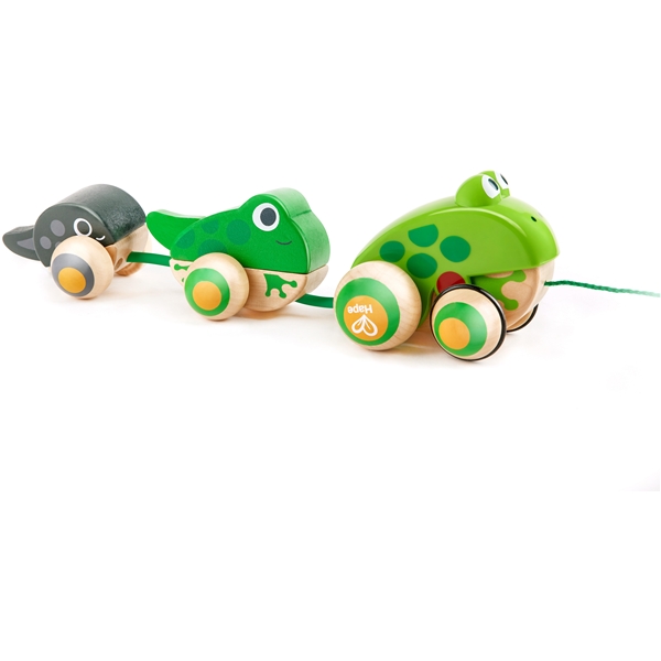 Hape Pull Along Frog Family (Bilde 1 av 6)