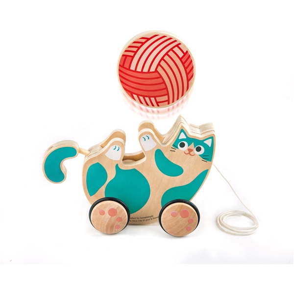 Hape Roll & Rattle Kitten (Bilde 3 av 5)