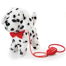 Happy Pets Walk Along Puppy Dalmatiner