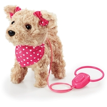 Happy Pets Walk Along Puppy Terrier