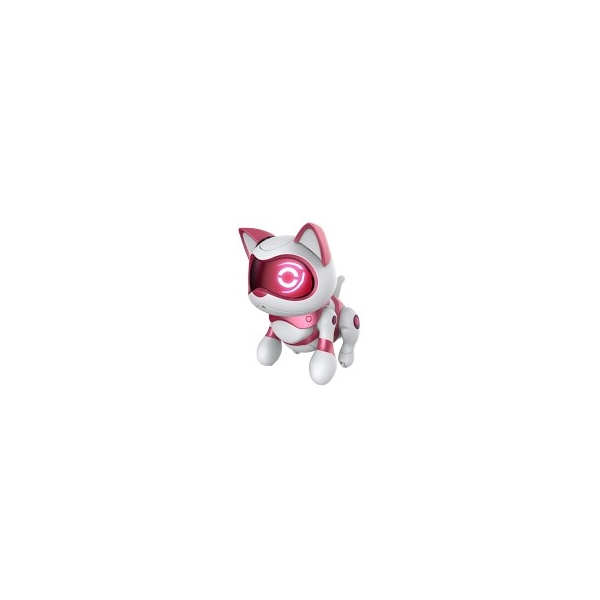 Teksta Newborn Kitty