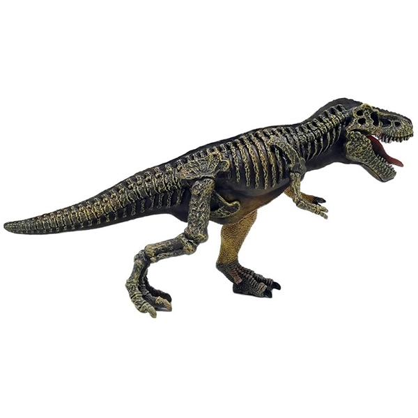 Dinosaur World Realistic 2-sidet T-Rex (Bilde 4 av 4)