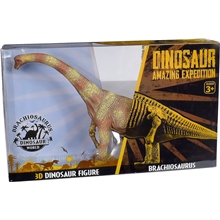 Dinosaur World Realistic 2-sidet Brachiosaurus