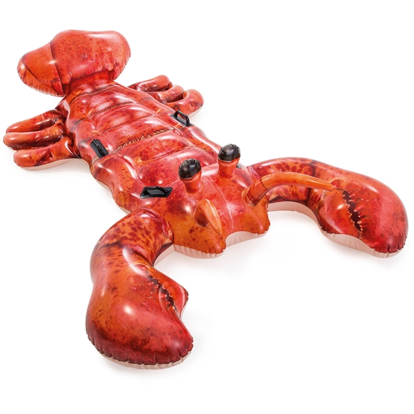 INTEX Lobster (Bilde 1 av 2)
