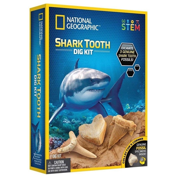 National Geographic Shark Teeth Dig Kit (Bilde 1 av 4)