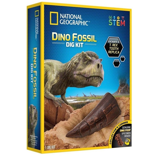 National Geographic Dinosaur Dig Kit (Bilde 1 av 5)