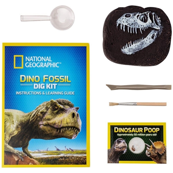 National Geographic Dinosaur Dig Kit (Bilde 2 av 5)