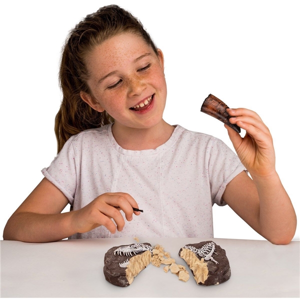 National Geographic Dinosaur Dig Kit (Bilde 4 av 5)