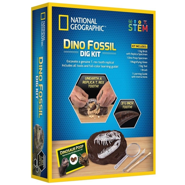 National Geographic Dinosaur Dig Kit (Bilde 5 av 5)