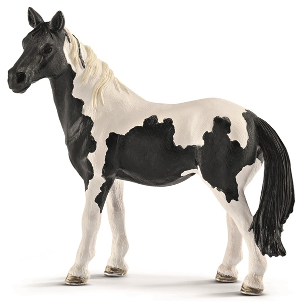 Schleich Pinto Merr