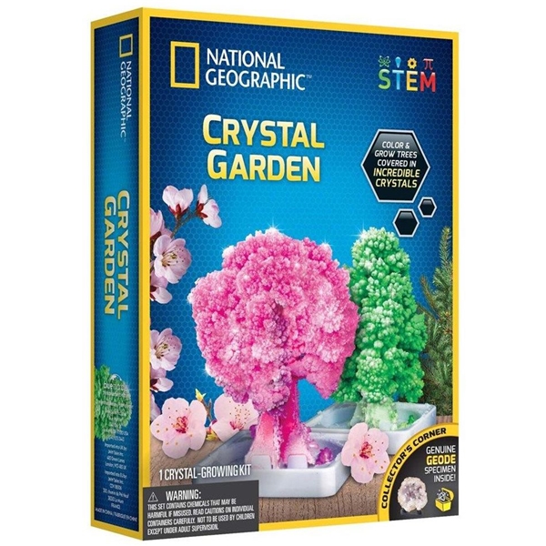 National Geographic Crystal Garden Kit (Bilde 1 av 4)
