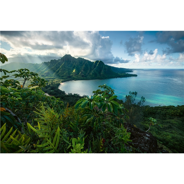 Puslespill 5000 Deler Hawaiian Viewpoint (Bilde 2 av 2)