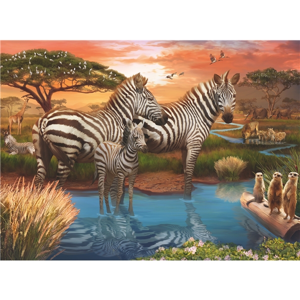 Puslespill 500 Deler Zebras in Sunset (Bilde 2 av 2)