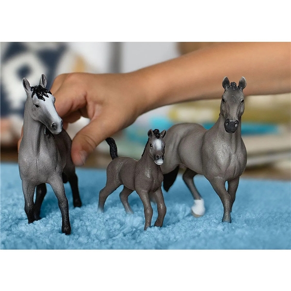 Schleich 13956 Cheval de Selle Fr. hingst (Bilde 2 av 2)