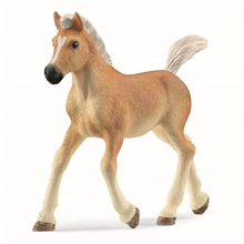 Schleich 13951 Haflinger føll