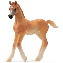 Schleich 13984 Schleich Araber-føll