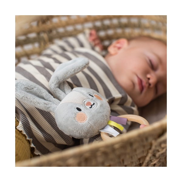 Taf Toys Rylee Bunny Rattle (Bilde 2 av 3)