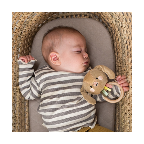 Taf Toys Jenny Bunny Rattle (Bilde 2 av 3)