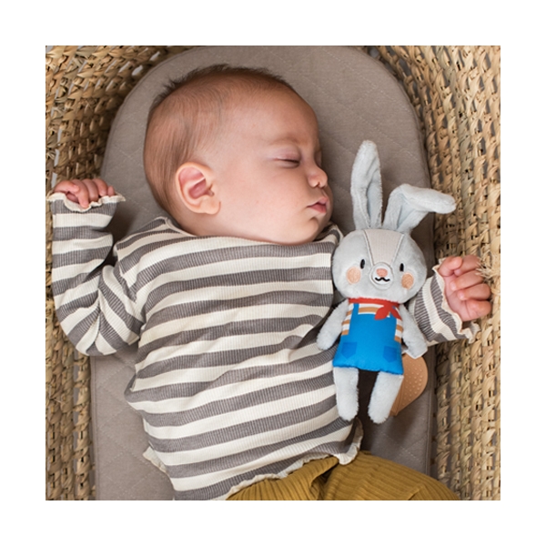 Taf Toys Rylee the Bunny (Bilde 2 av 2)