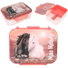 Miss Melody Matboks BLOSSOM PONY
